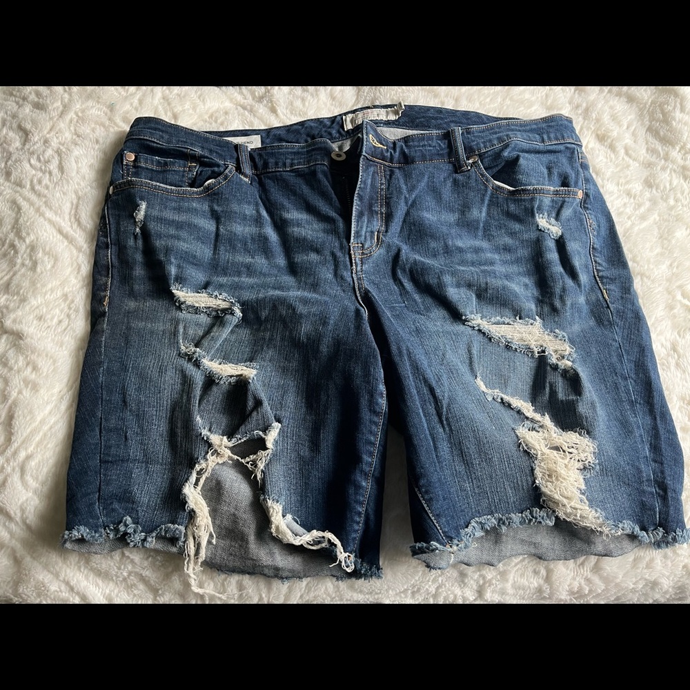 Torrid shorts